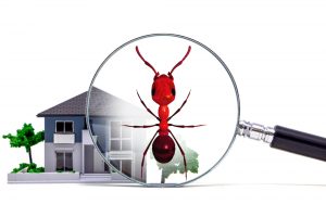 شركة رش مبيدات بالرياض | شركة صيانتك للبيت العصري | 0567849192 كشف تسربات المياه بالرياض