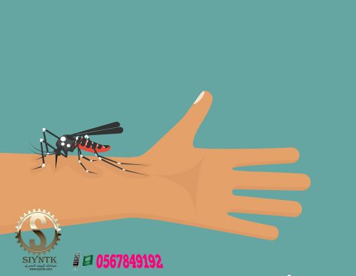 مكافحة الحشرات بالرياض وجدة والدمام 0567849192